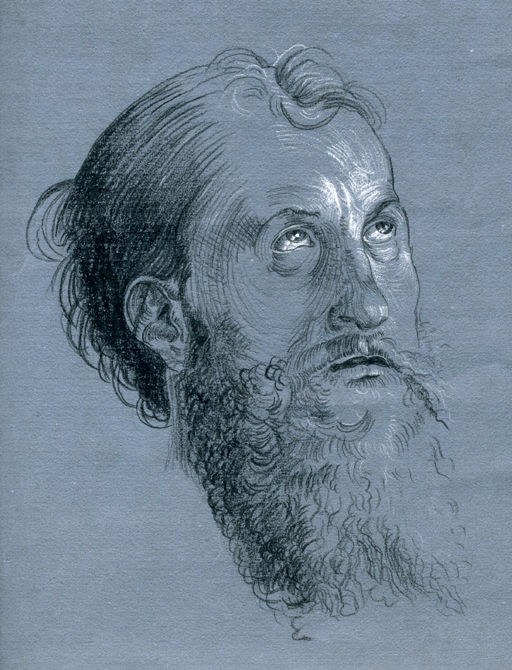 main_durer