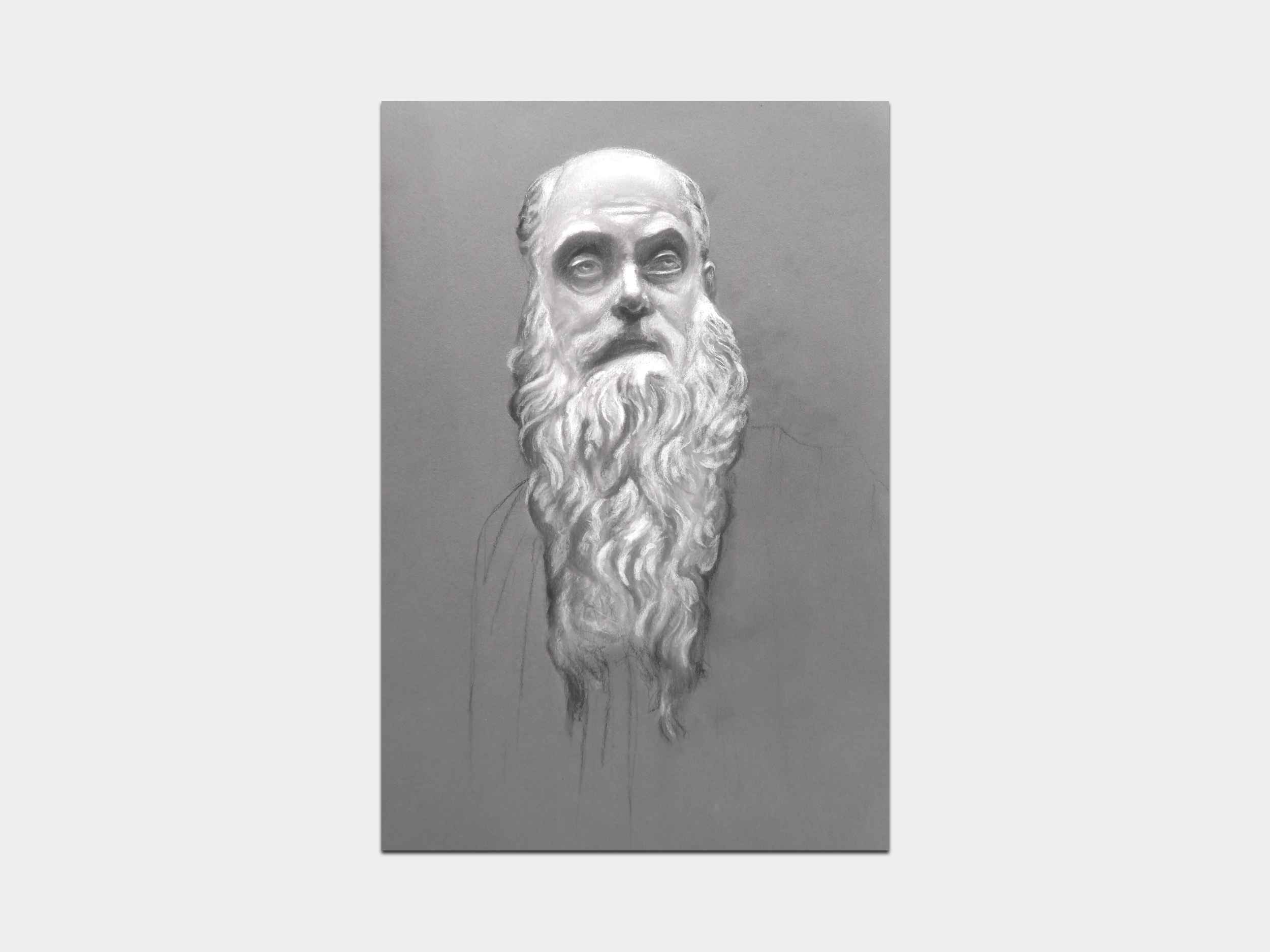 Appolonio – 43 ratio