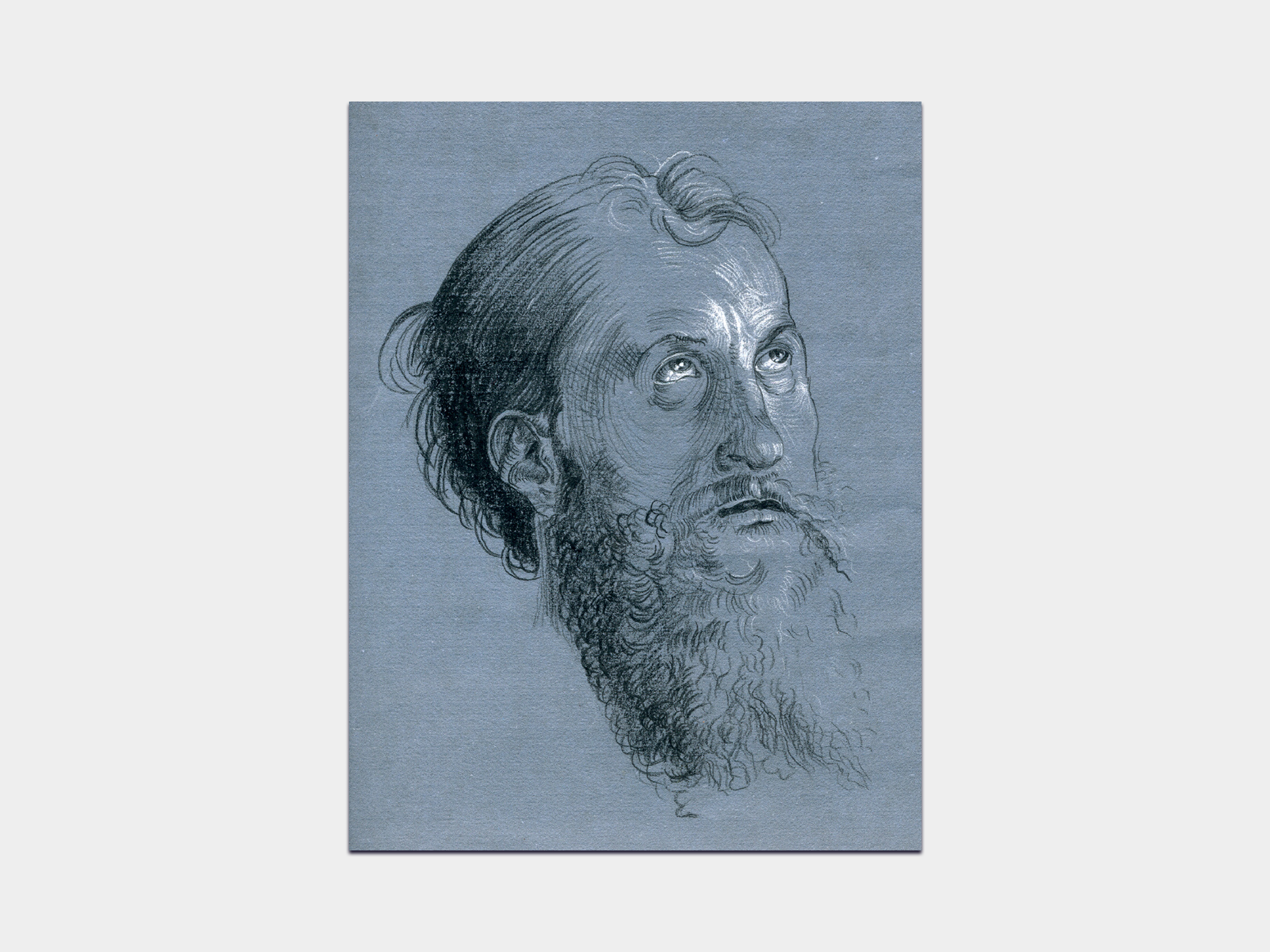 Durer apostle – 43 ratio