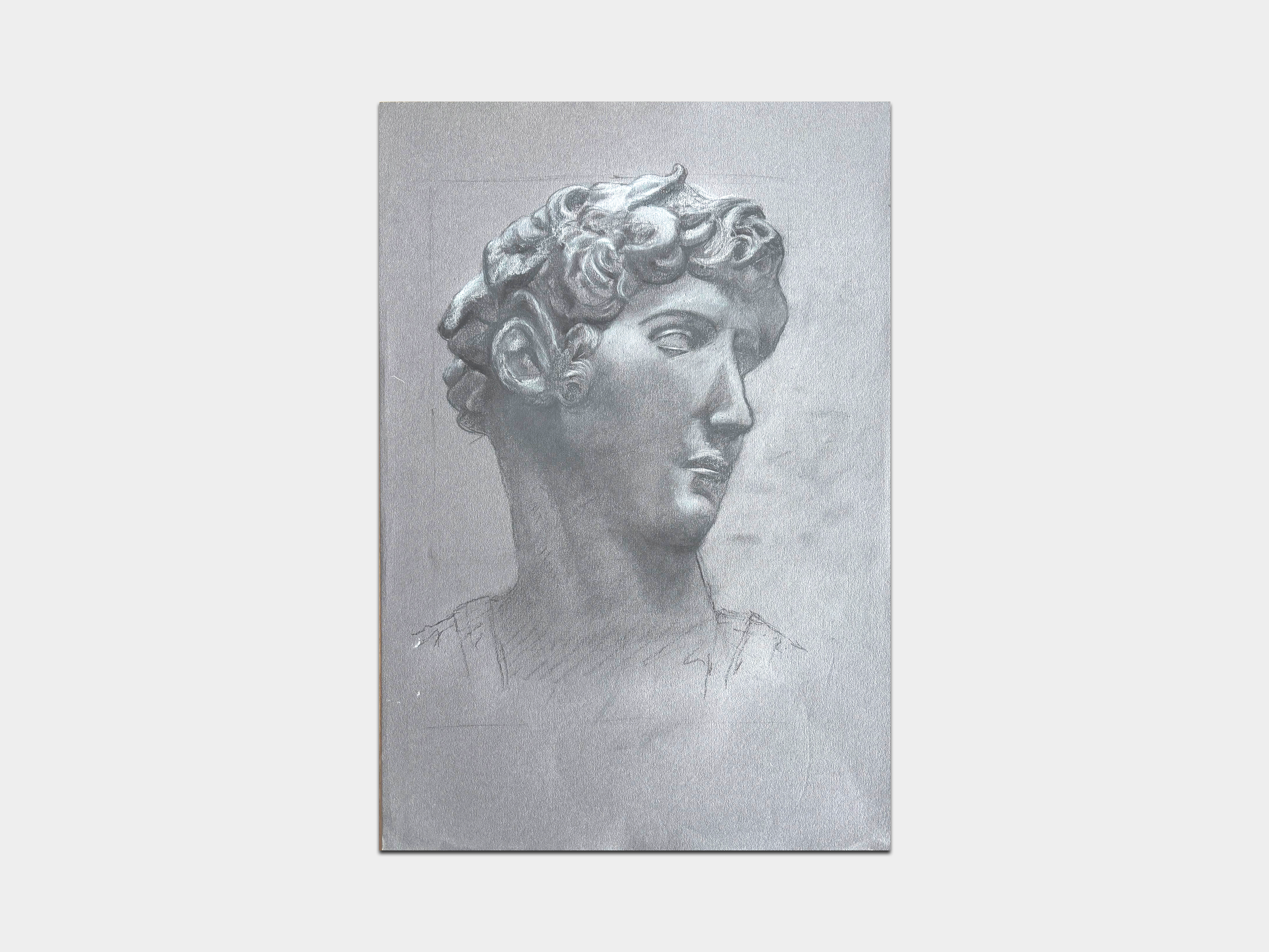 Medici – 43 ratio