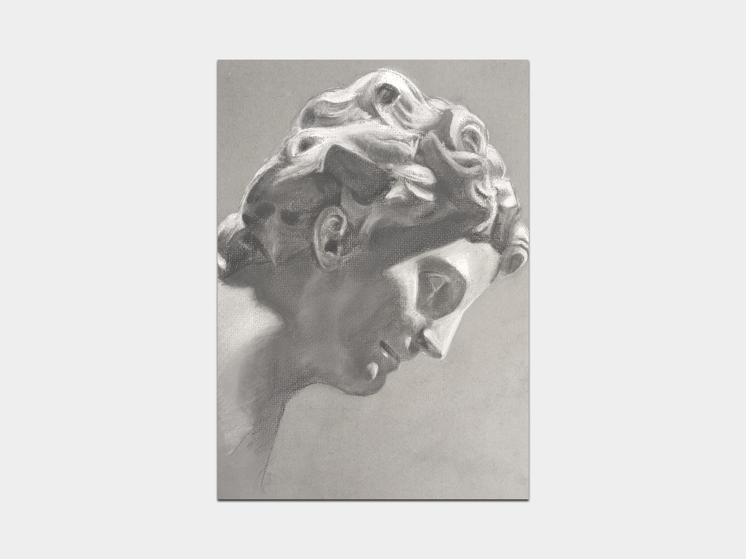 Vertumnus – 43 ratio