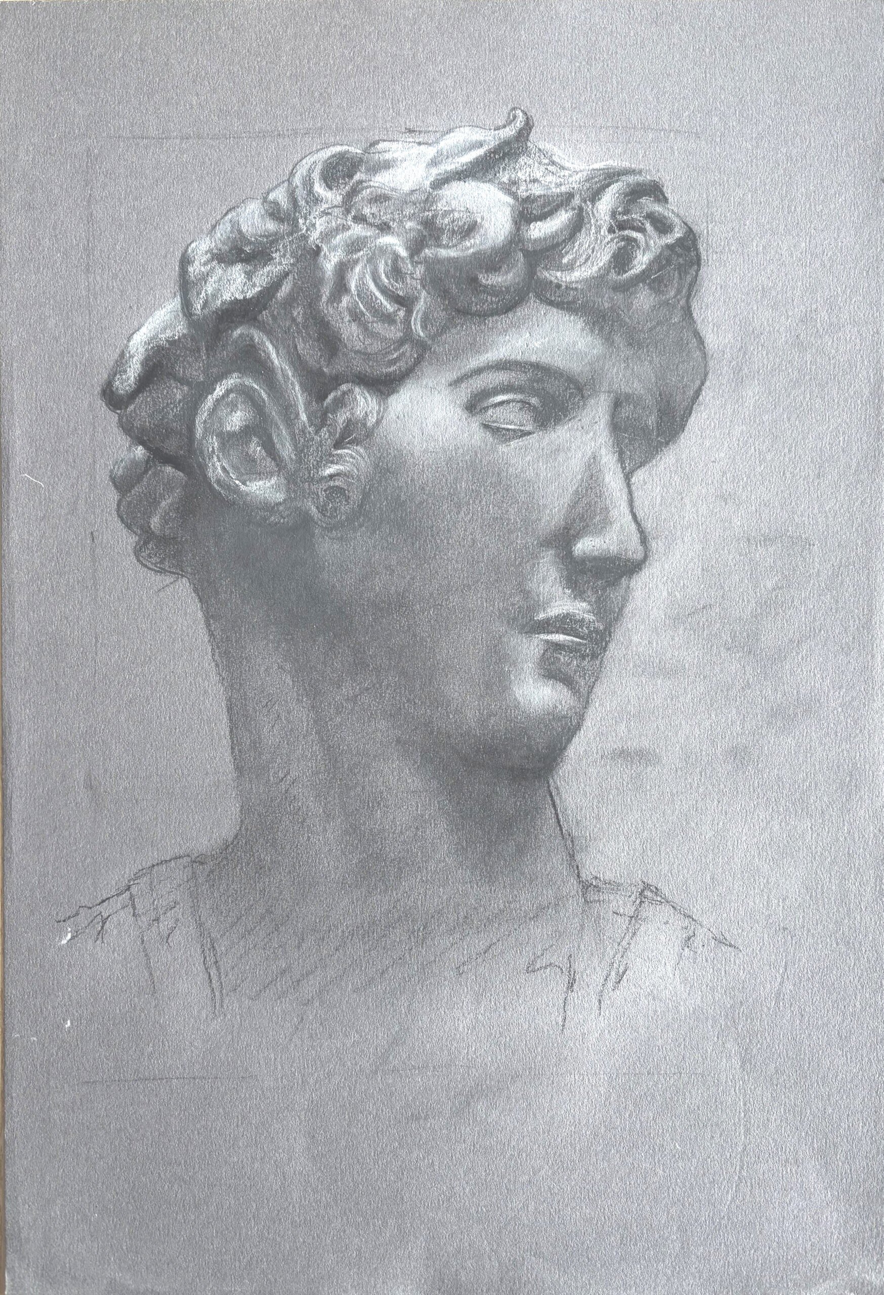 Guiliano deMedici_VA